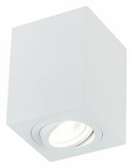 Накладной светильник SIMPLE STORY 2038 2038-1CLW