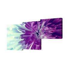 Модульная картина Фиолетовые астры Toplight 150х75см TL-M2058