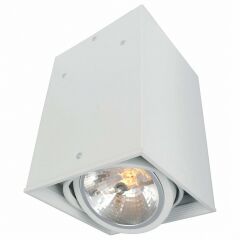 Накладной светильник Arte Lamp Cardani A5936PL-1WH