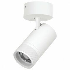 Спот Lightstar Canno Pro C4406SO