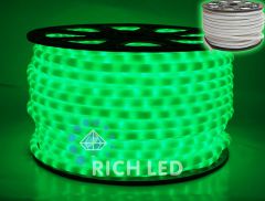 Rich LED Шнур световой RL-DL-2WHM-100-240-G
