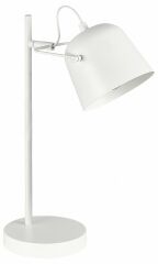 Настольная лампа офисная Evoluce Blank SLE1805-504-01
