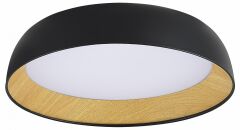 Накладной светильник Evoluce MUSE SLE1812-402-01