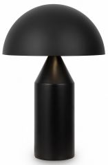 Настольная лампа декоративная Freya Eleon FR5218TL-02B1