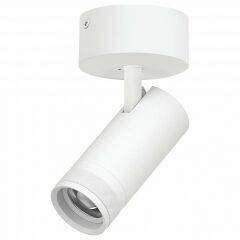 Спот Lightstar Canno Pro C4206SO