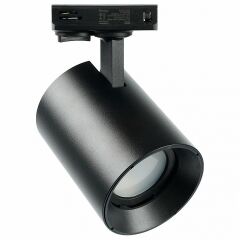 Светильник на штанге Feron AL169 51850