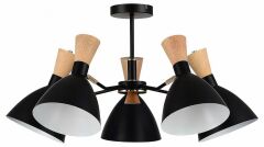 Люстра на штанге Evoluce VISTA SLE1256-402-05