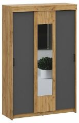  Арника Шкаф-купе Вена