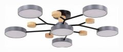 Потолочная люстра Evoluce Faema SLE6006-702-06