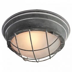 Накладной светильник Lussole Brentwood GRLSP-9881