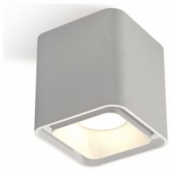 Накладной светильник Ambrella Light Techno Spot 353 XS7840001