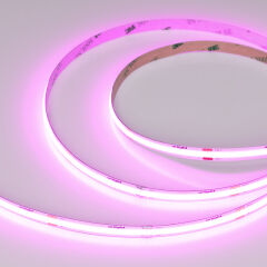 Лента COB-X480-8mm 24V Magenta (8 W/m, IP20, 5m) ( Arlight , -)