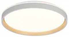 Накладной светильник Citilux ENZO CL753510G