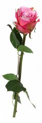 АРТИ-М Цветок (50 см) Роза 23-265