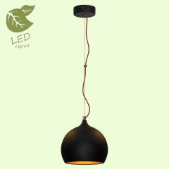 Подвесной светильник Lussole LOFT GRLSN-6116-01