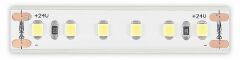 Лента светодиодная ST Luce ST1001.414.65.1