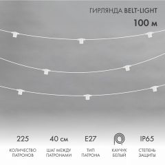  Neon-Night Гирлянда Супернить Belt-Light 331-232