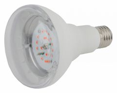 Лампа светодиодная Эра E27 16Вт 1310K Б0039072