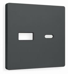 Накладка для розетки type A и C Ambrella Volt Quant AP9110