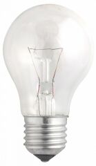 Лампа накаливания Jazzway E27 95Вт 2700K A55 240V 95W E27 clear
