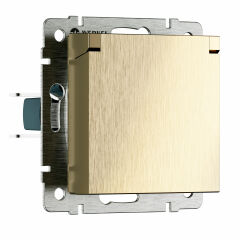  Werkel Розетка влагозащ. с зазем. с защит. крышкой и шторками N (шампань рифленый) W1171210