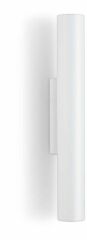 Накладной светильник Ambrella Light FL FL74505