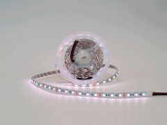 Лента светодиодная SWG SWG-CL560 00-00009900