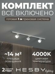 Комплект трековый Hesby Lighting Skylite №13 HSBL_kompl_S013_NI1W4K