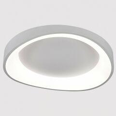 Накладной светильник Arte Lamp None A2698PL-60WH