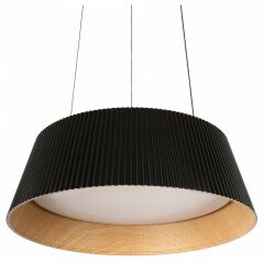 Подвесной светильник Loft IT Evans 10224P Black