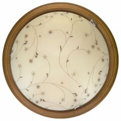 Накладной светильник Toplight Karissa TL9650Y-00OA