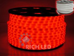  Rich LED Шнур световой RL-DL-2WHM-100-240-R