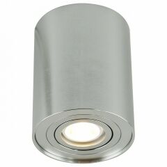 Накладной светильник Arte Lamp 5644 A5644PL-1SI