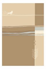  Agnella Ковер интерьерный (160x240 см) Natural