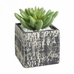 Растение в горшке Eglo Chitose 428007