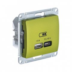  Systeme Electric GLOSSA USB РОЗЕТКА А + тип-С 45Вт высокоскор.заряд. QC, PD, мех., ФИСТАШКОВЫЙ