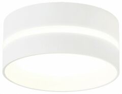 Накладной светильник Ambrella Light TN TN5388