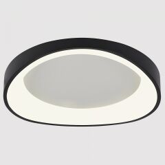 Накладной светильник Arte Lamp None A2698PL-60BK