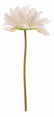  Lefard Цветок (25 см) Пион 265-613
