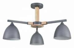 Люстра на штанге Lumion Colange 8096/3C