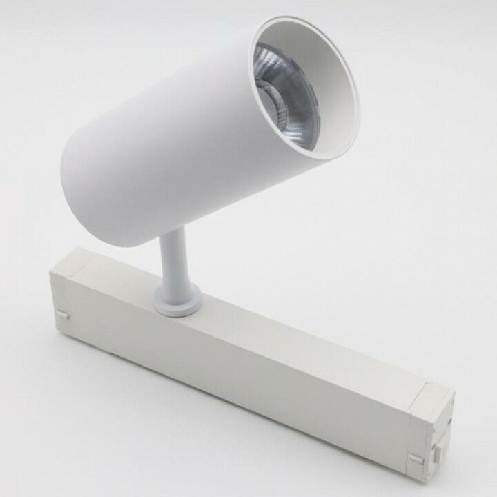 Светильник на штанге Aployt Magnetic track 220 APL.0205.10.20