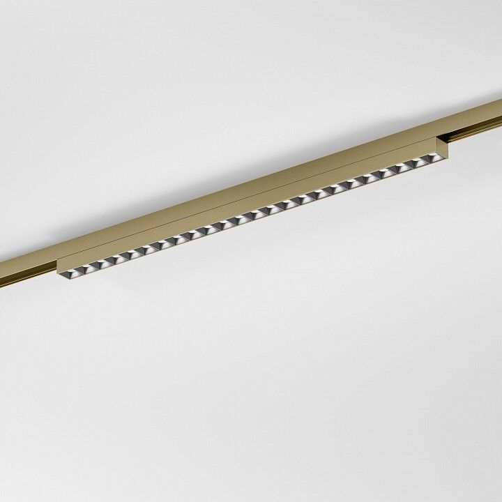 Накладной светильник Elektrostandard 85529/01