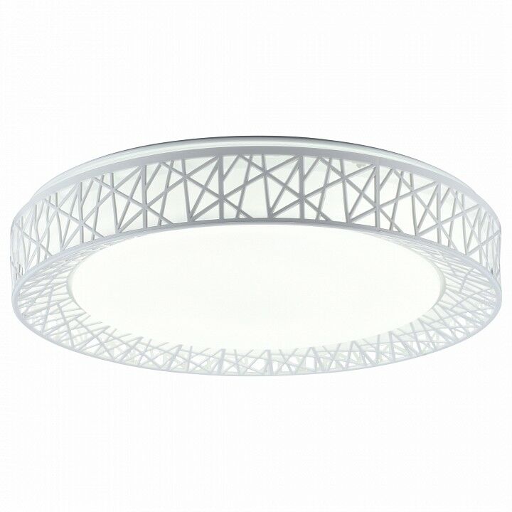 Накладной светильник Toplight Diana TL1204X-72WH