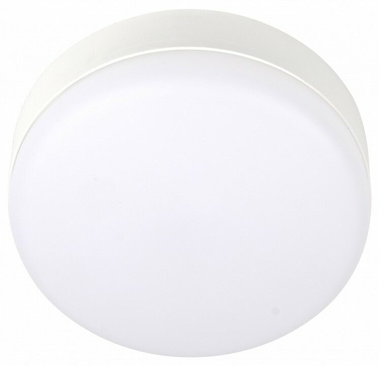 Накладной светильник Jazzway ДПО-1036 12w 6500K IP54