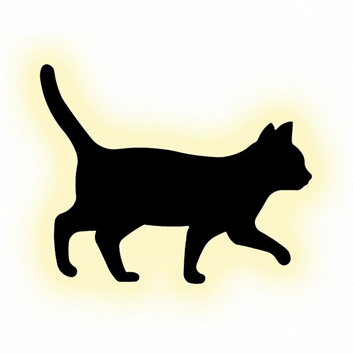 Накладной светильник Escada 10209/SG LED