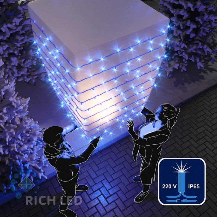  Rich LED Гирлянда Нить RL_RL-S10CF-220V-R RL-S10CF-220V-RB/B