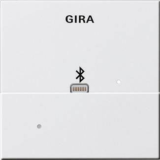 Лицевая панель Apple Lightning Gira System 55 для вставки док-станции чисто-белый глянцевый 228703