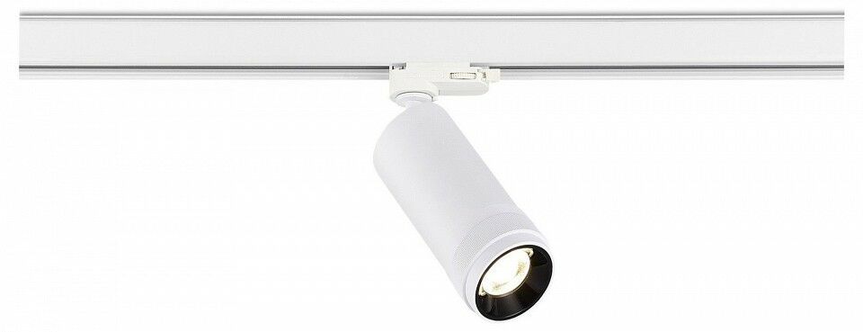 Светильник на штанге ST Luce ST691 ST691.546.20