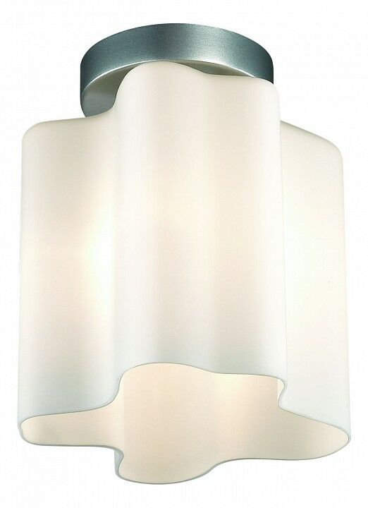 Накладной светильник ST Luce Onde SL116.502.01