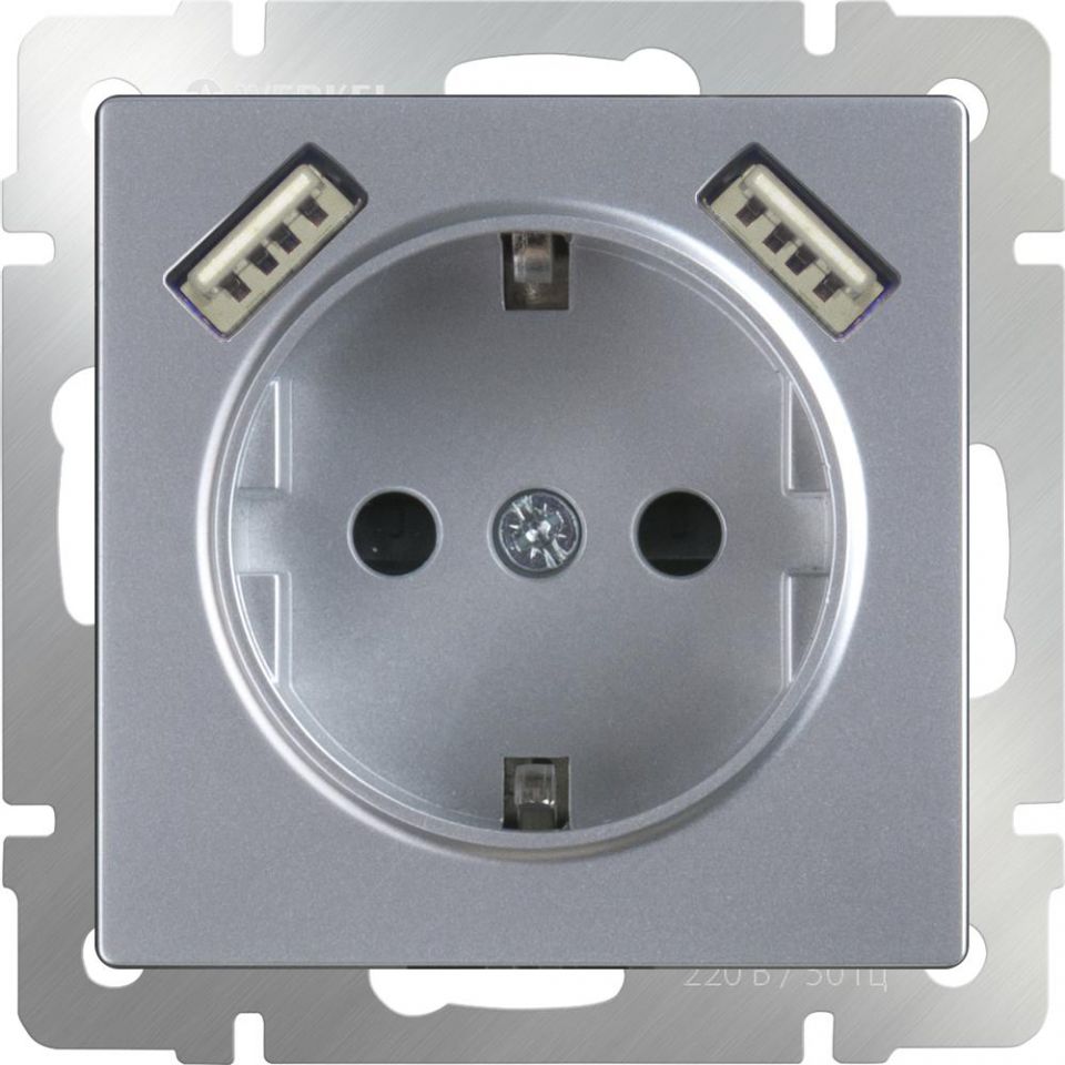  Werkel Розетка с заземлением, шторками и USBх2 (серебряный) WL06-SKGS-USBx2-IP20